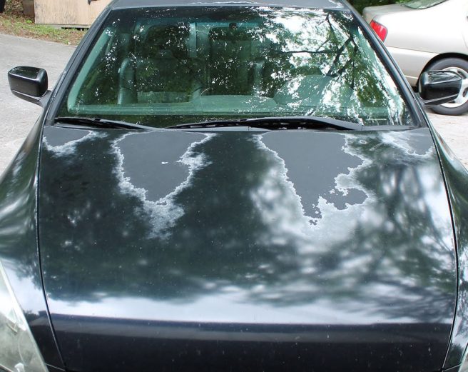 8077f43e32f74dbe9302730d5b7b4ebb