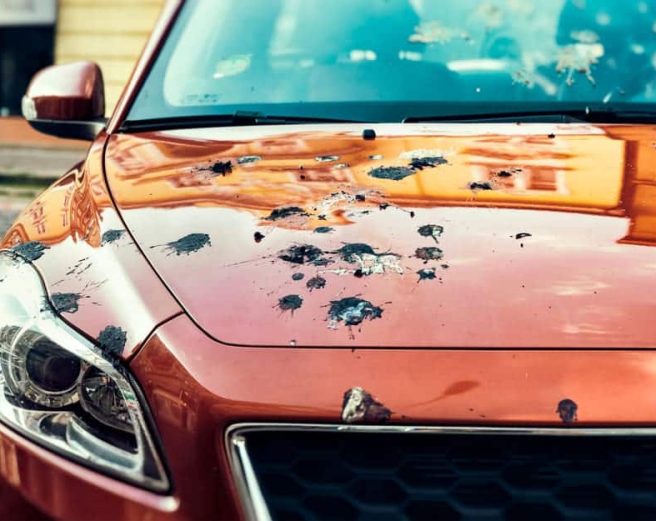 Bird-Poop-Car-Cleaning Bird-Poop-Car-Cleaning