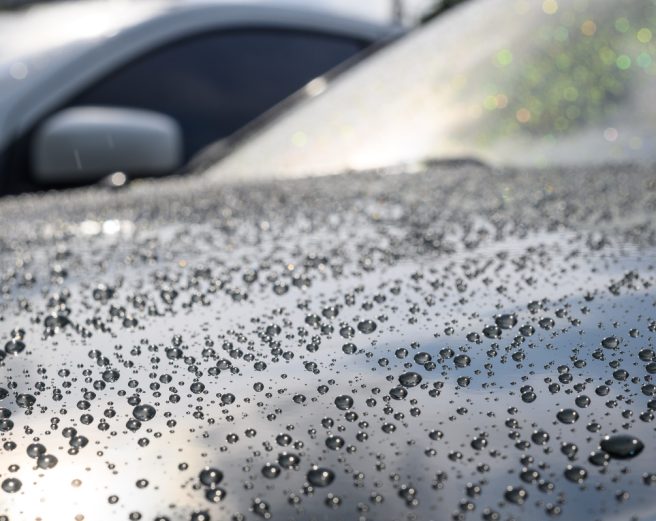 car-windshield-protectors